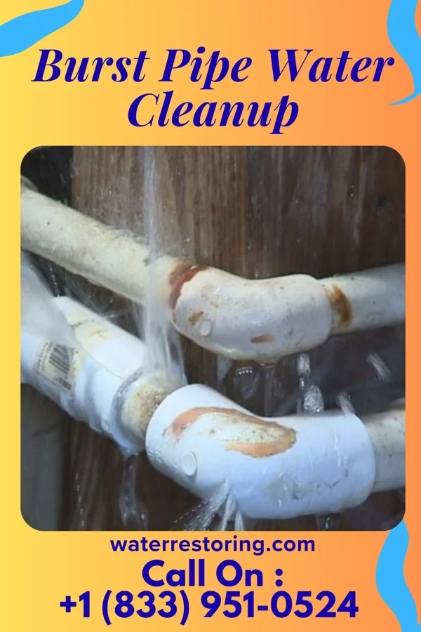 Burst Pipe Water Cleanup in Morven, NC