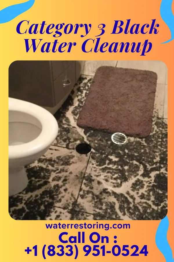 Category 3 Black Water Cleanup in Morven, NC