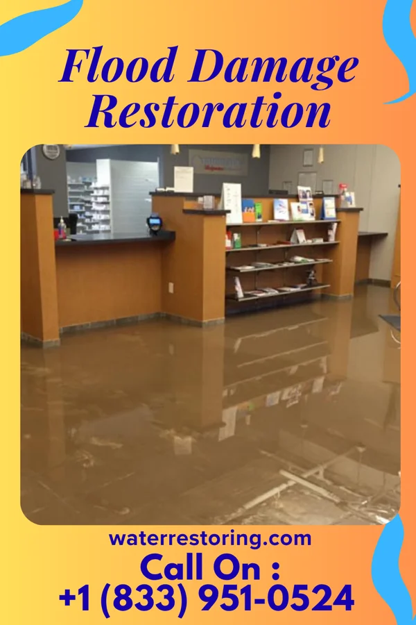 Flood Damage Restoration in Morven, NC