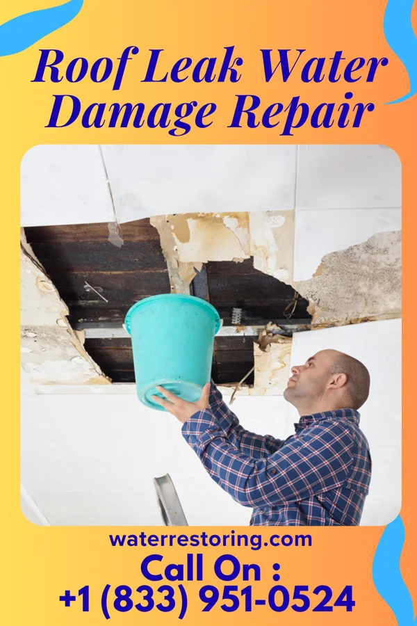 Roof Leak Water Damage Repair in Morven, NC